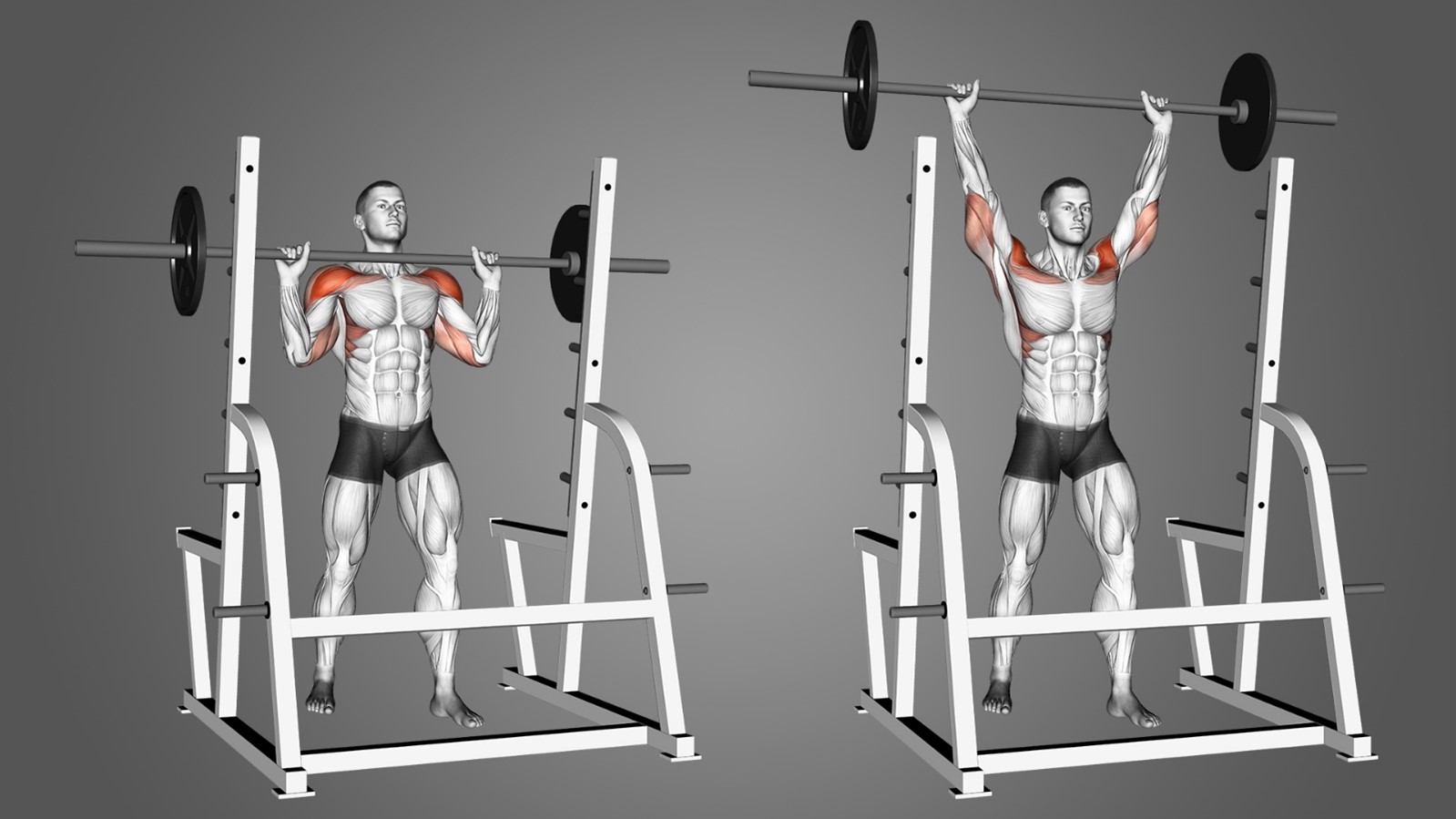 Military Press (AKA Overhead Press)