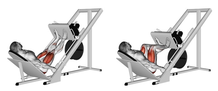 Leg Press