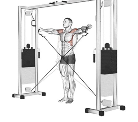 Elevação lateral com cabo