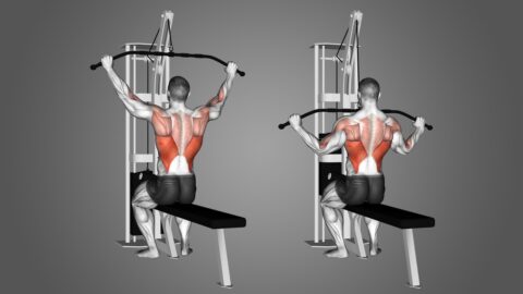 Puxada Alta (Lat Pull Down)