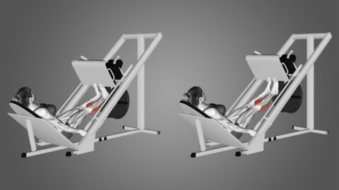 Elevação de calcanhares em leg press