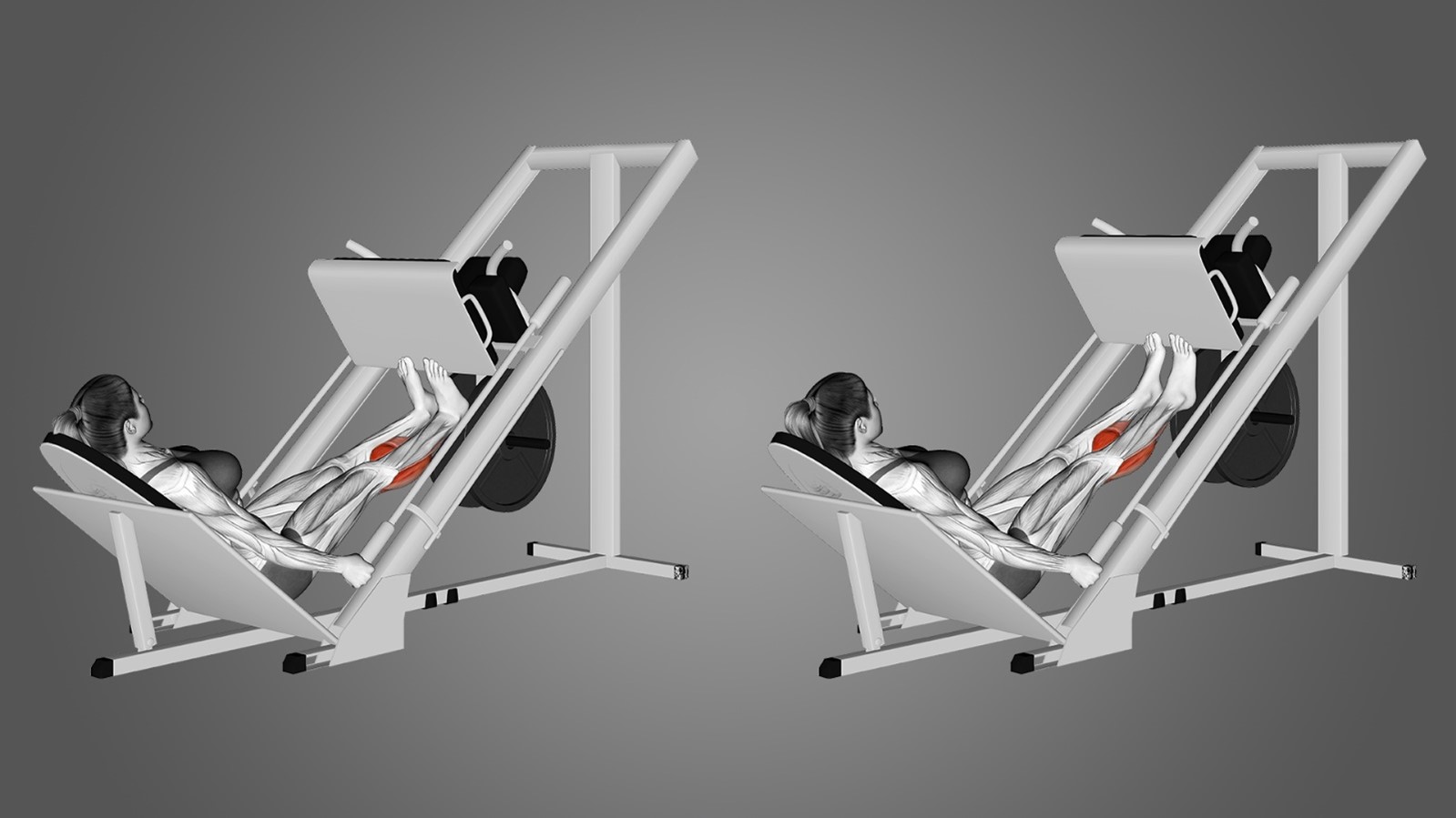 Elevação de calcanhares em leg press