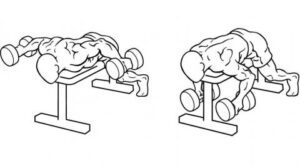 Elevação Posterior