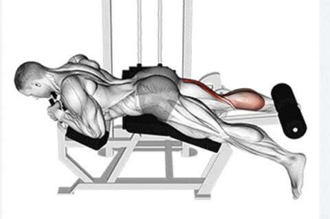 Flexão de Pernas Unilateral