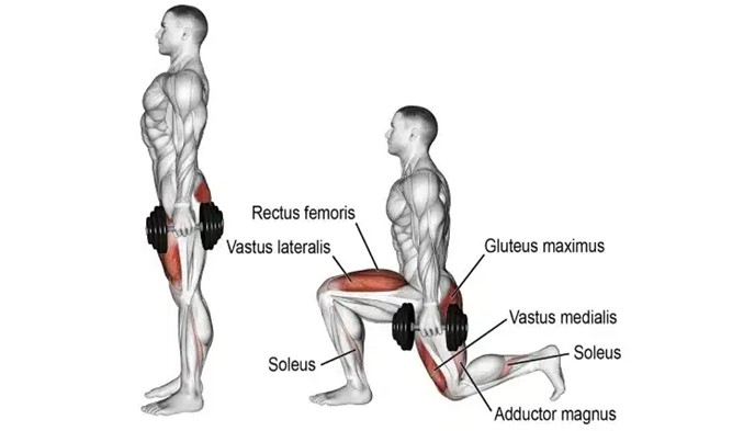 Agachamento Frontal com Halteres Alternado