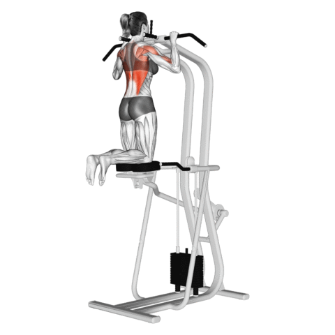 Máquina de Auxílio para Pull Up
