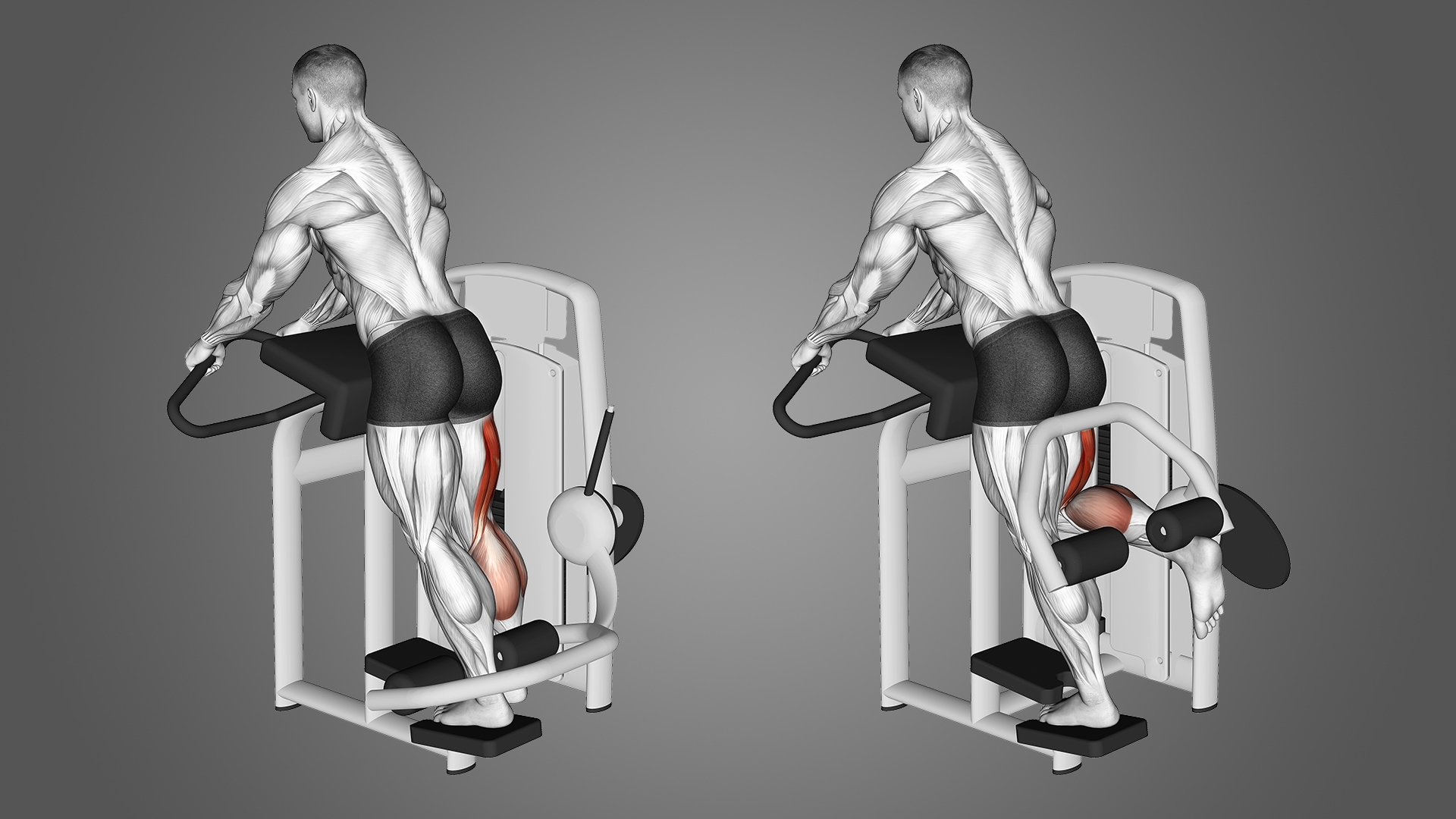 Cachos de Pernas (Leg Curls)