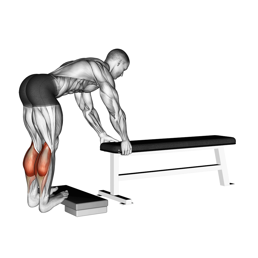 Donkey Calf Raises