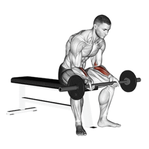 Flexão de Punho com Barra Sentado