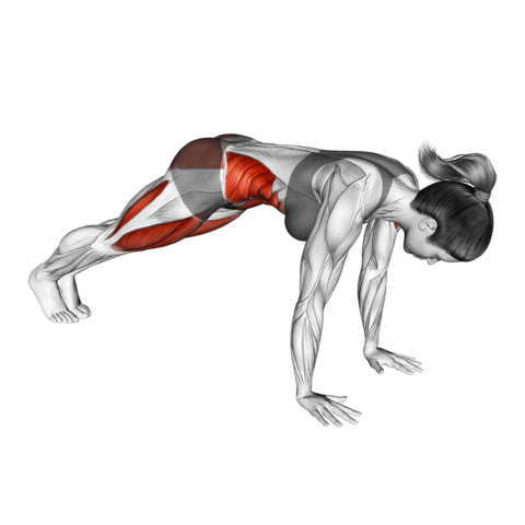 Alpinista (Mountain Climber)