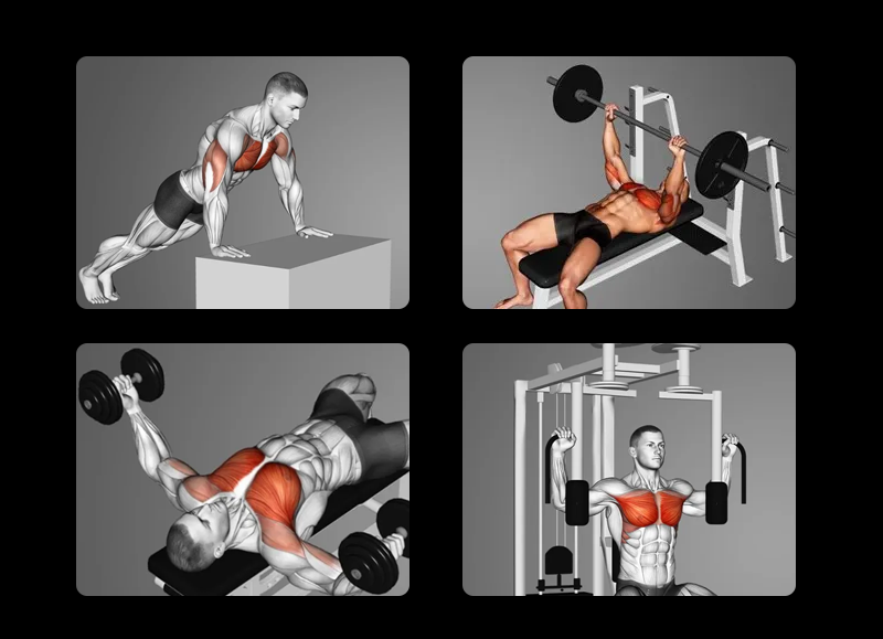 Treino de Peito: 21 (melhores) exercícios para ganhar músculo