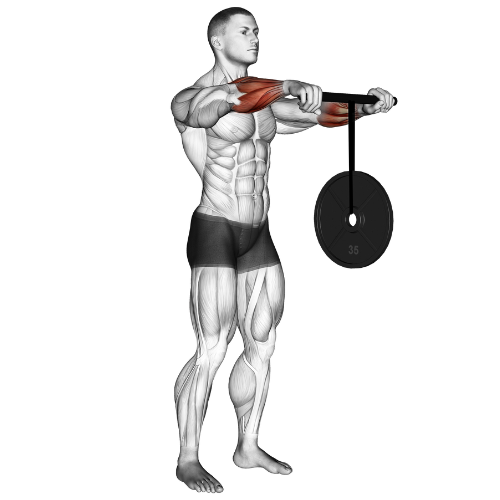 Wrist Roller