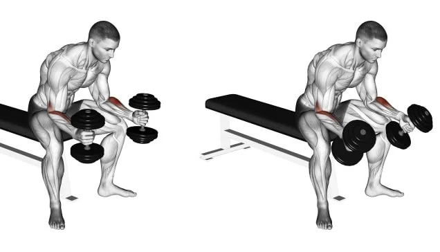 Flexão de Pulso Neutra Sentada com Halteres