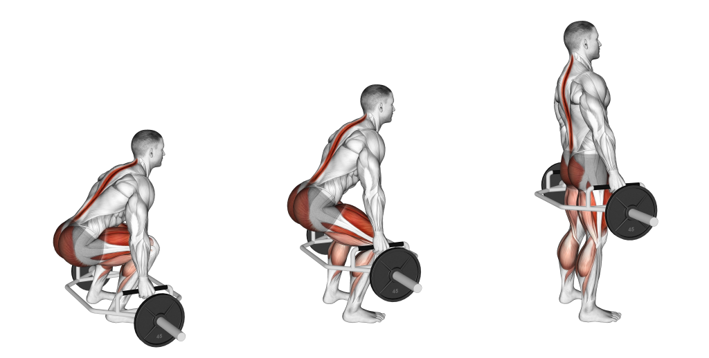 Trap Bar Deadlift
