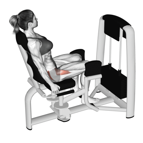 Cadeira Abdutora: Como fazer? Dicas de Treino