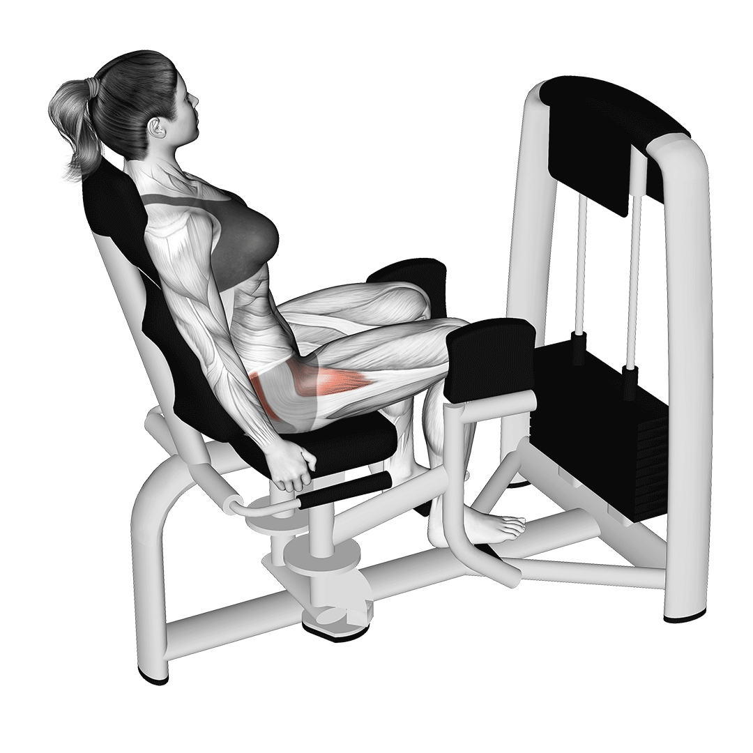 Cadeira Abdutora: Como fazer? Dicas de Treino