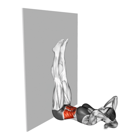 Abdominal na Parede