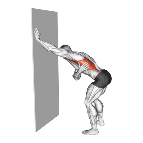 Alongamento de Dorsal na Parede