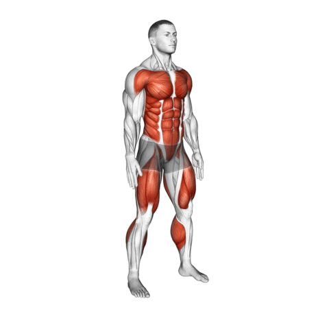 Burpee com Agachamento