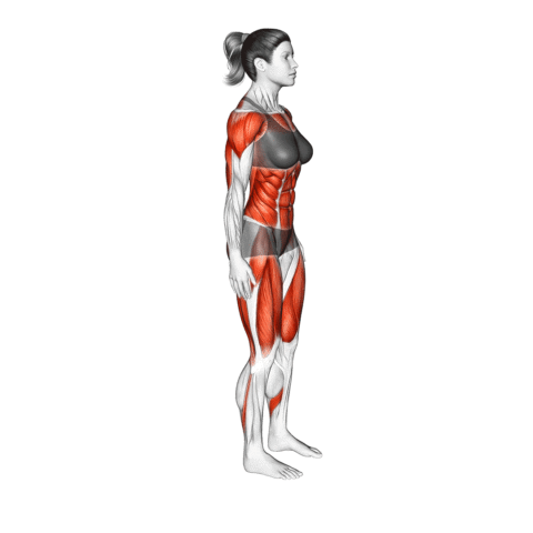 Burpee com Escalador