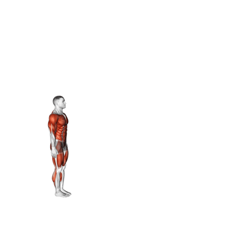 Burpee com Salto Longo