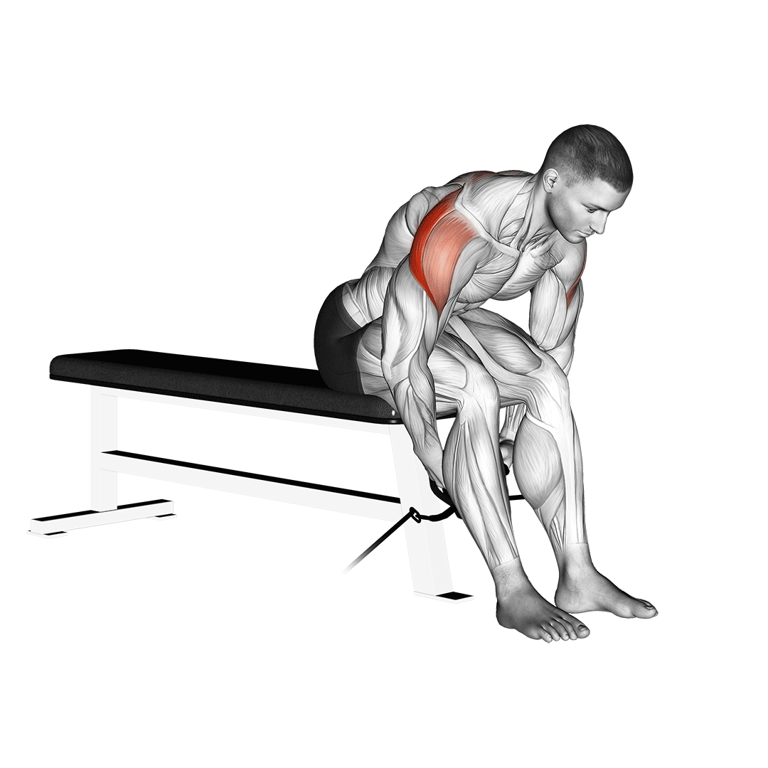 Elevação Lateral Posterior Sentado com Cabo