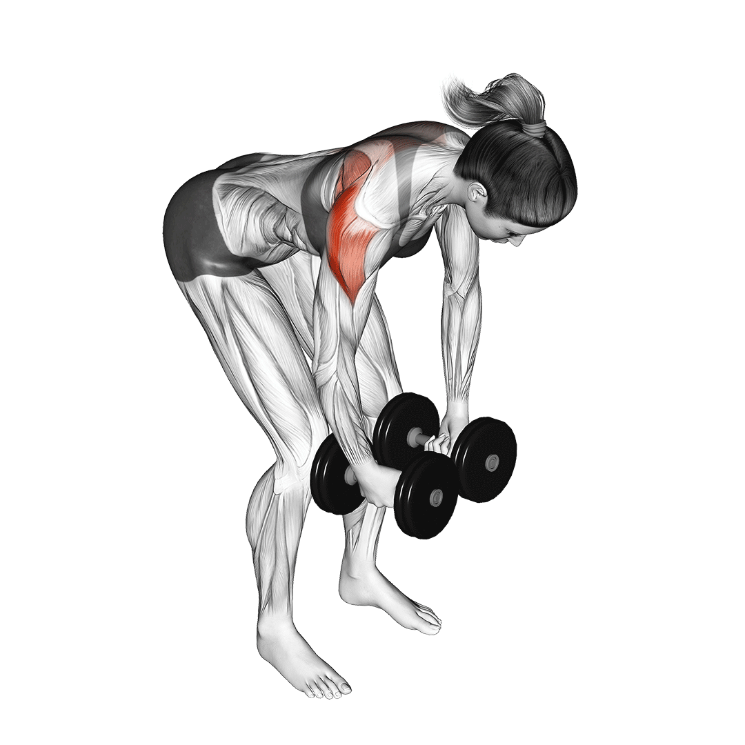 Elevação Lateral Posterior com Halter