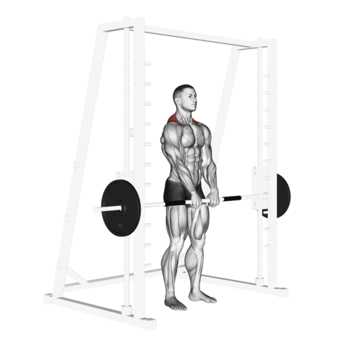 Encolhimento na Smith Machine