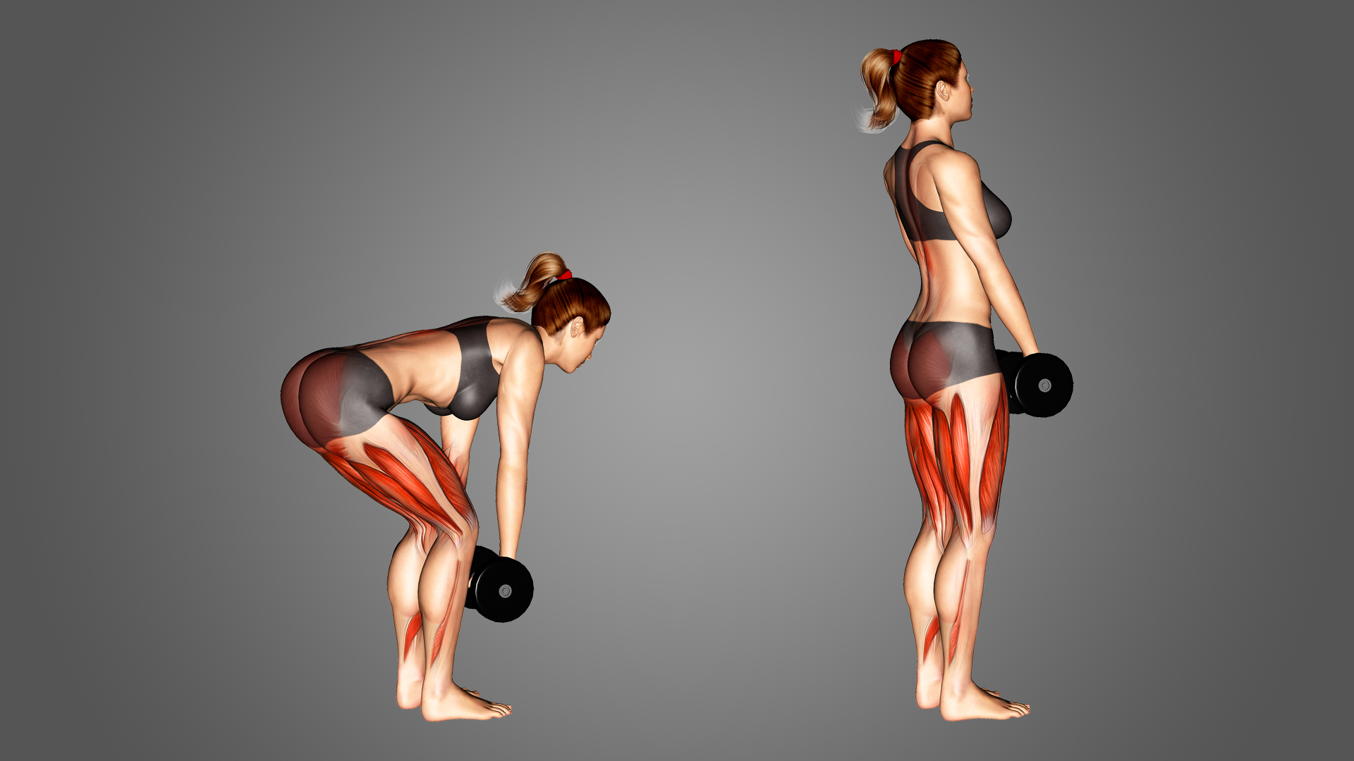 Levantamento Terra Romeno com Halter