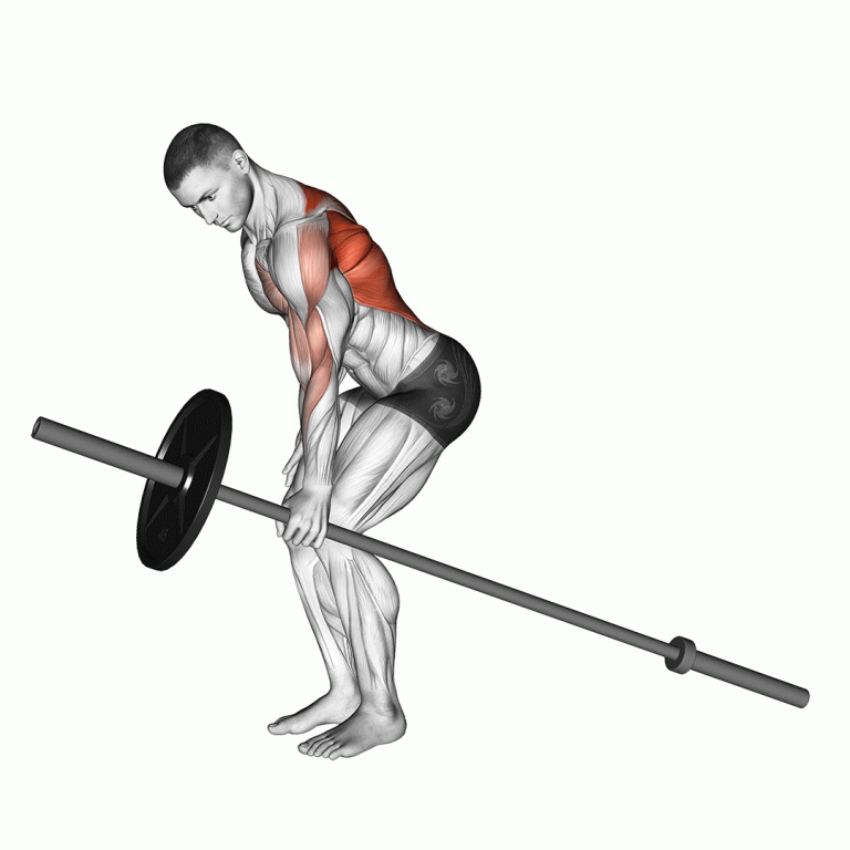 Remada Unilateral com T-Bar