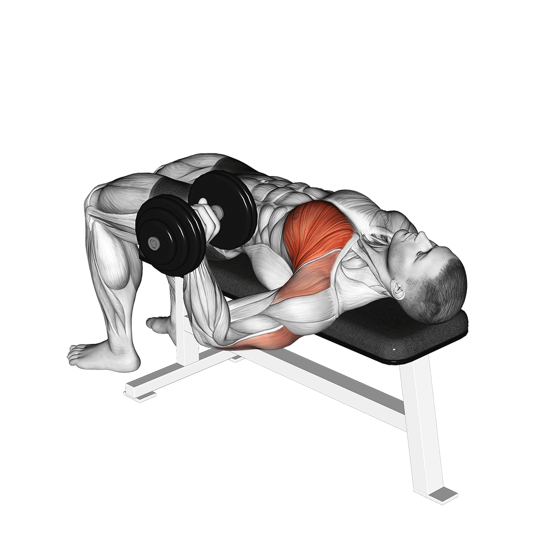 Supino Unilateral com Halter
