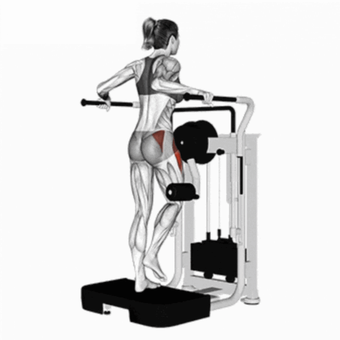 Abdução de Quadril no Multi-Hip