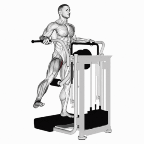 Adução de Quadril no Multi-Hip