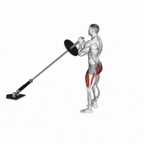 Afundo Reverso com Landmine