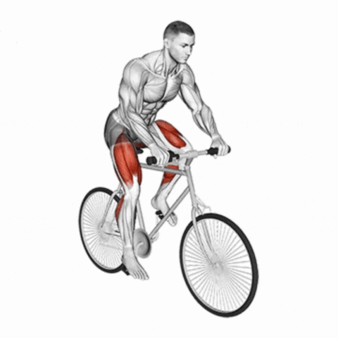 Ciclismo ao Ar Livre