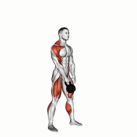 Arranco Unilateral com Kettlebell