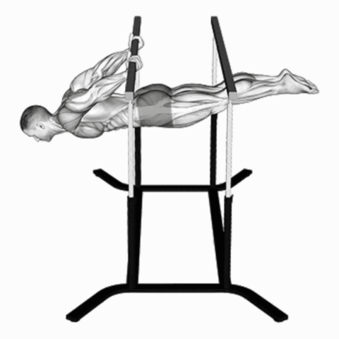 Back Lever nas Barras Paralelas