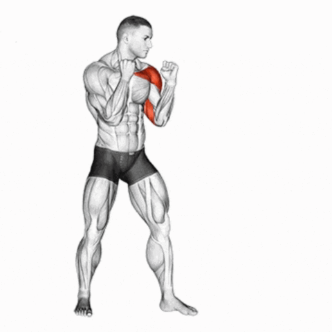 Jab de Boxe