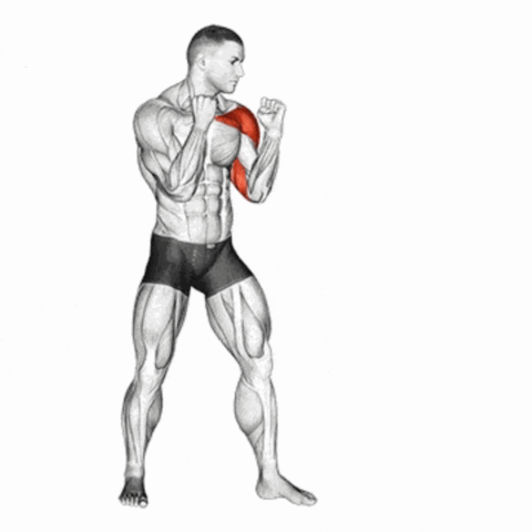 Boxe Sombra