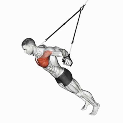 Crucifixo no TRX