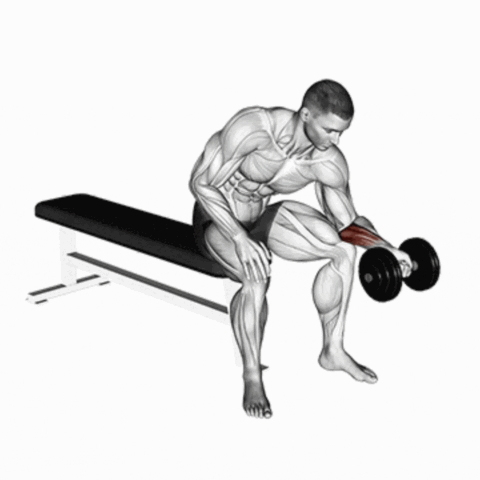 Rosca de Punho Unilateral com Halter