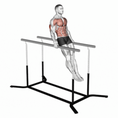 Impossible Dip nas Paralelas